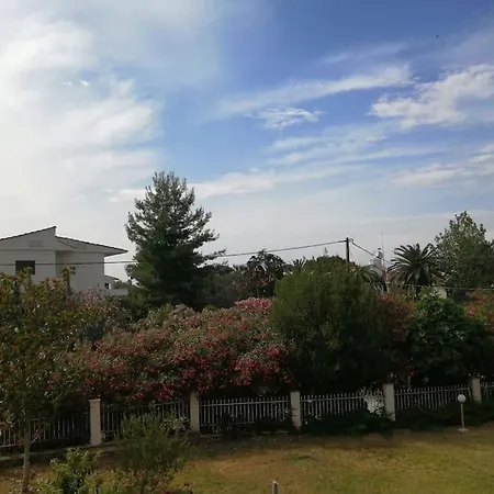 50 Metres From The *