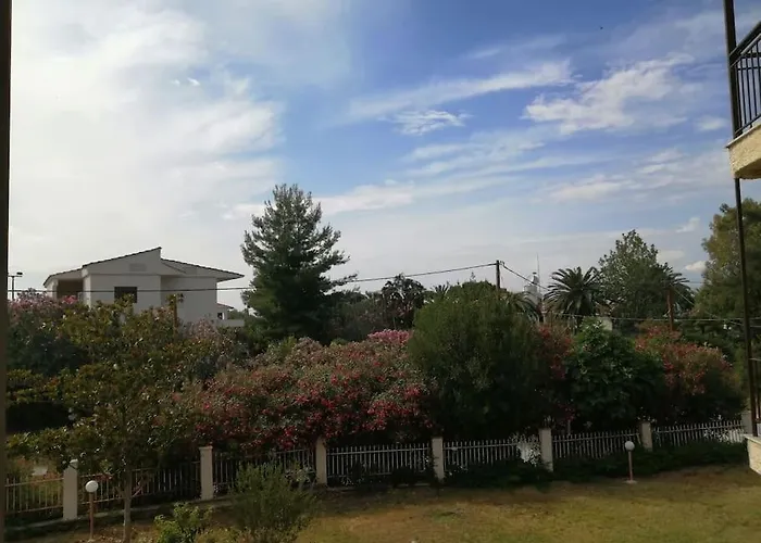 50 Metres From The *