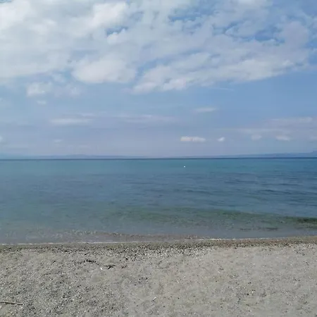 50 Metres From The *