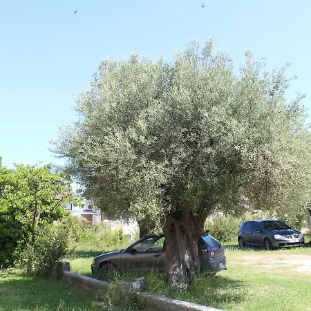 50 Metres From The *